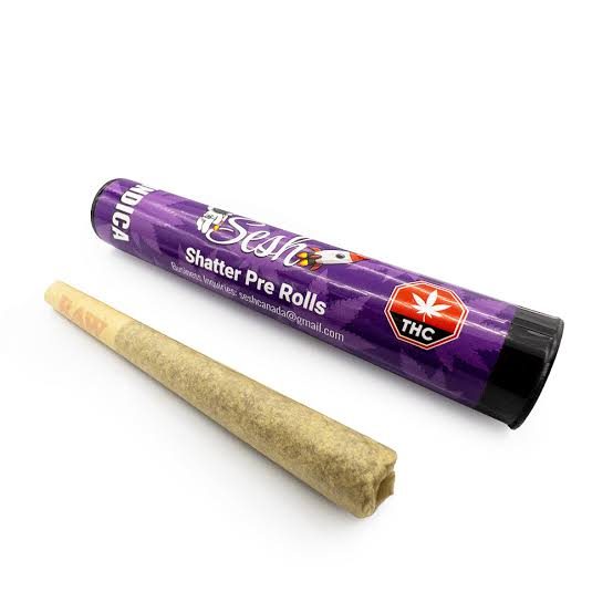 Sesh Shatter Joints – Indica