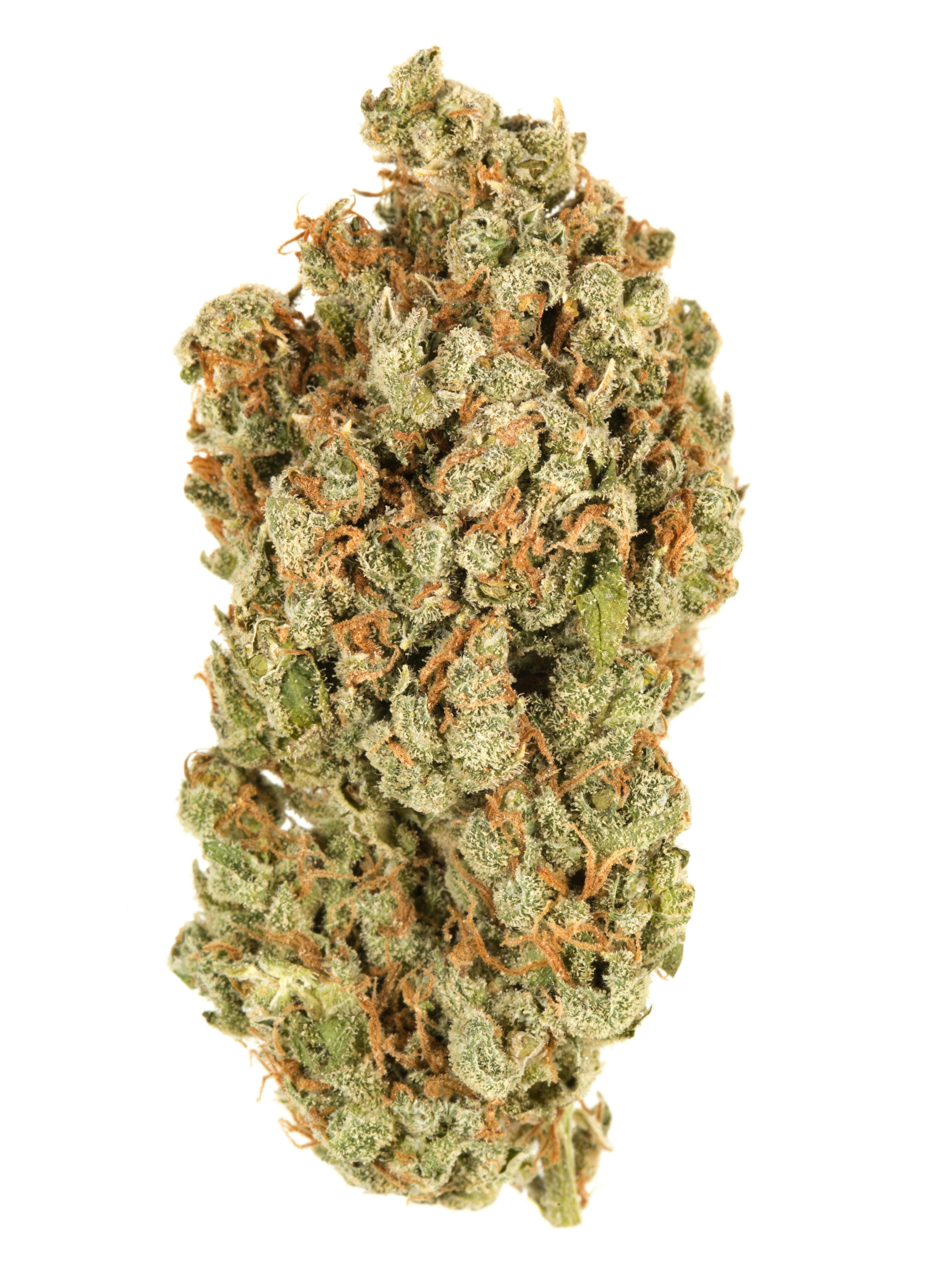 Durban Poison