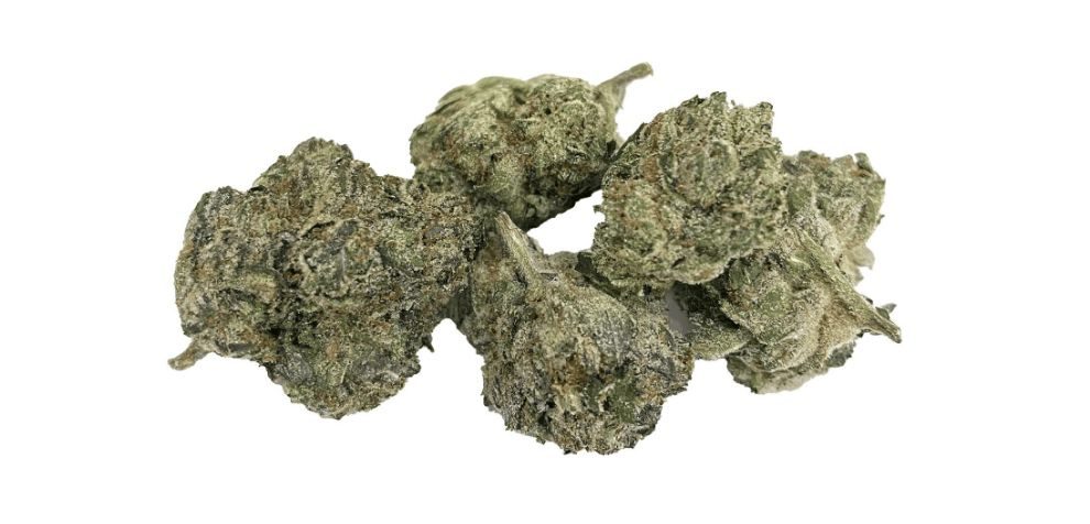 COMATOSE—1&2 ounce deal